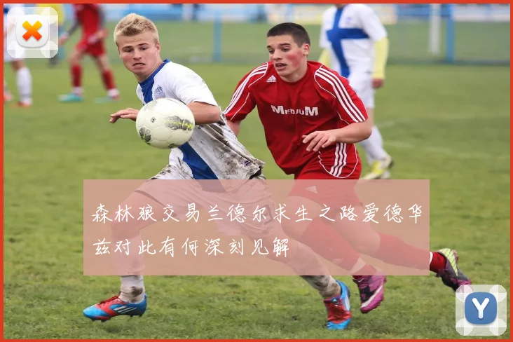 森林狼交易兰德尔求生之路爱德华兹对此有何深刻见解