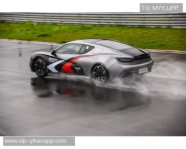 东契奇训练后带队友团建体验保时捷专业赛道试驾乐趣